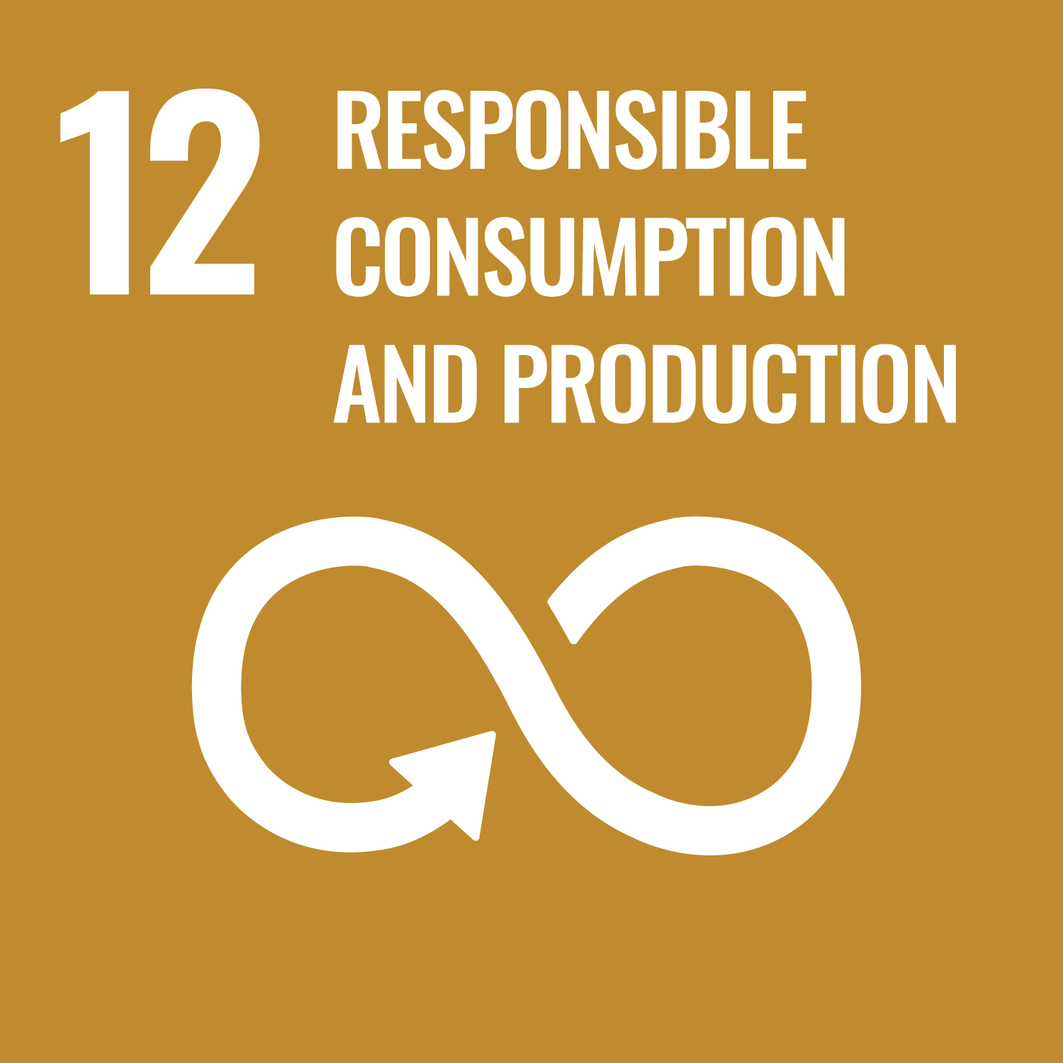 SDG 12 : การผลิตและการบริโภคที่ยั่งยืน