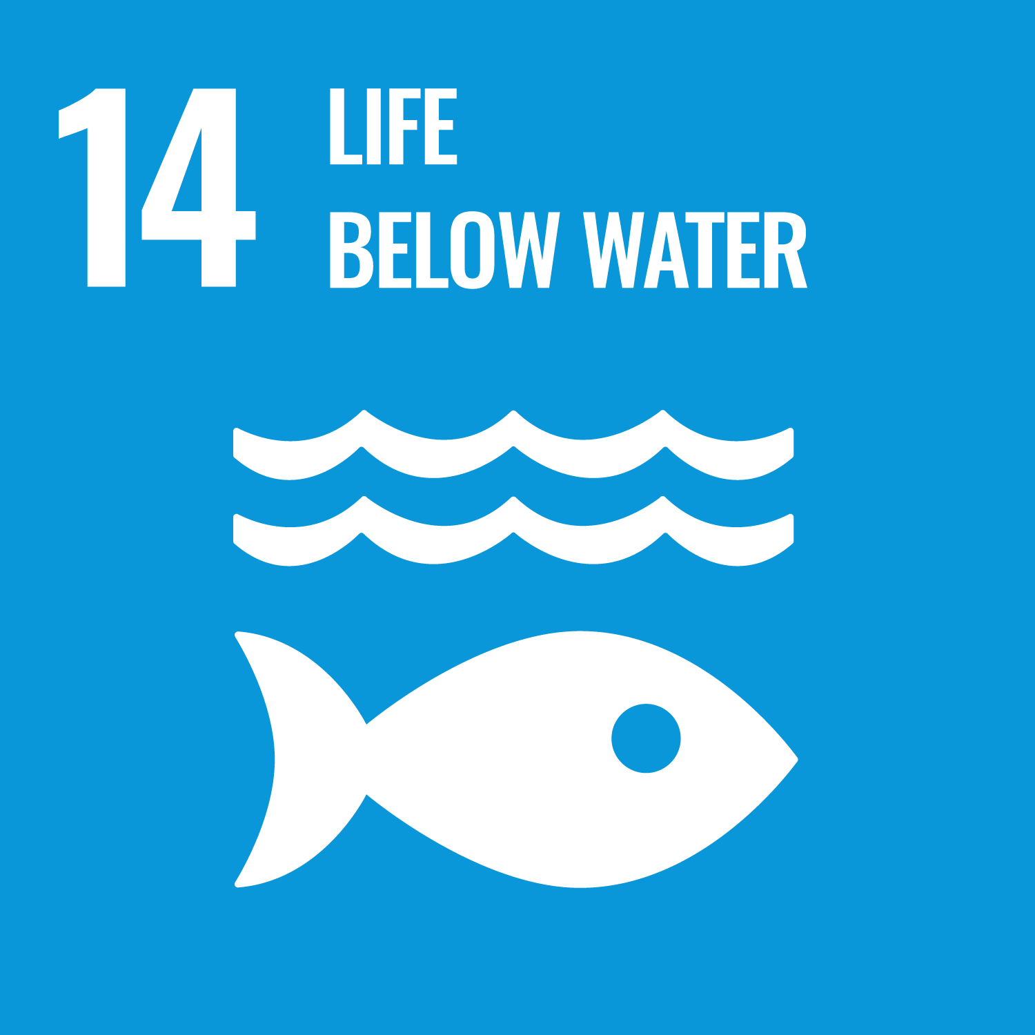 SDG 14 ทรัพยากรทางทะเล