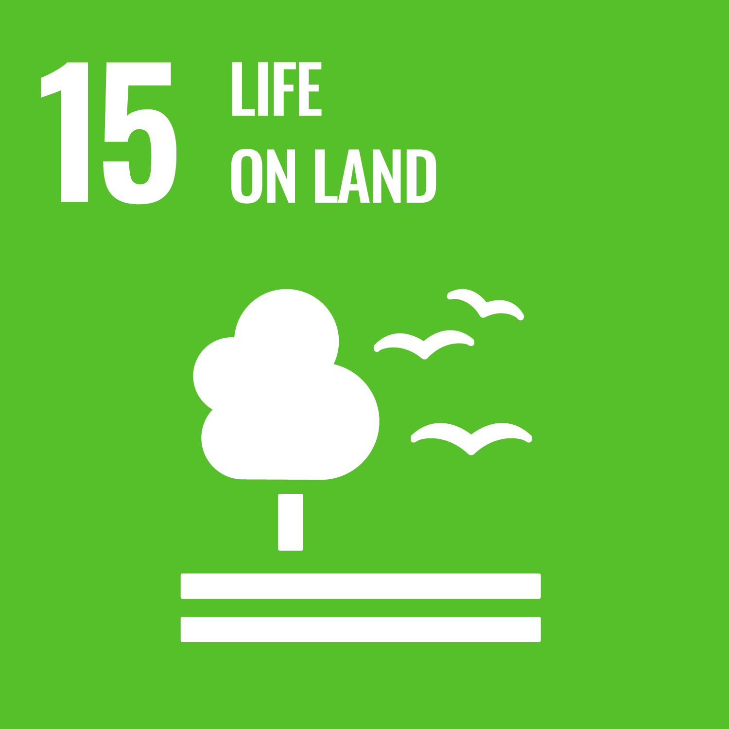 SDG 15 : ระบบนิเวศบนบก