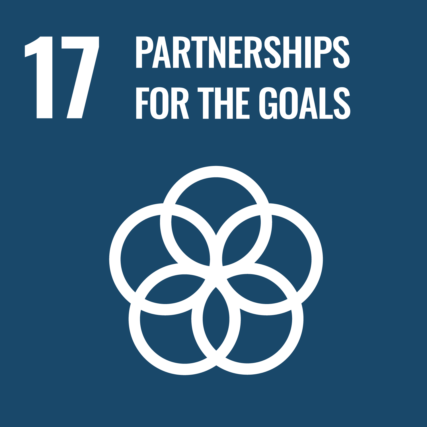 SDG 17 : ความร่วมมือเพื่อการพัฒนาที่ยั่งยืน